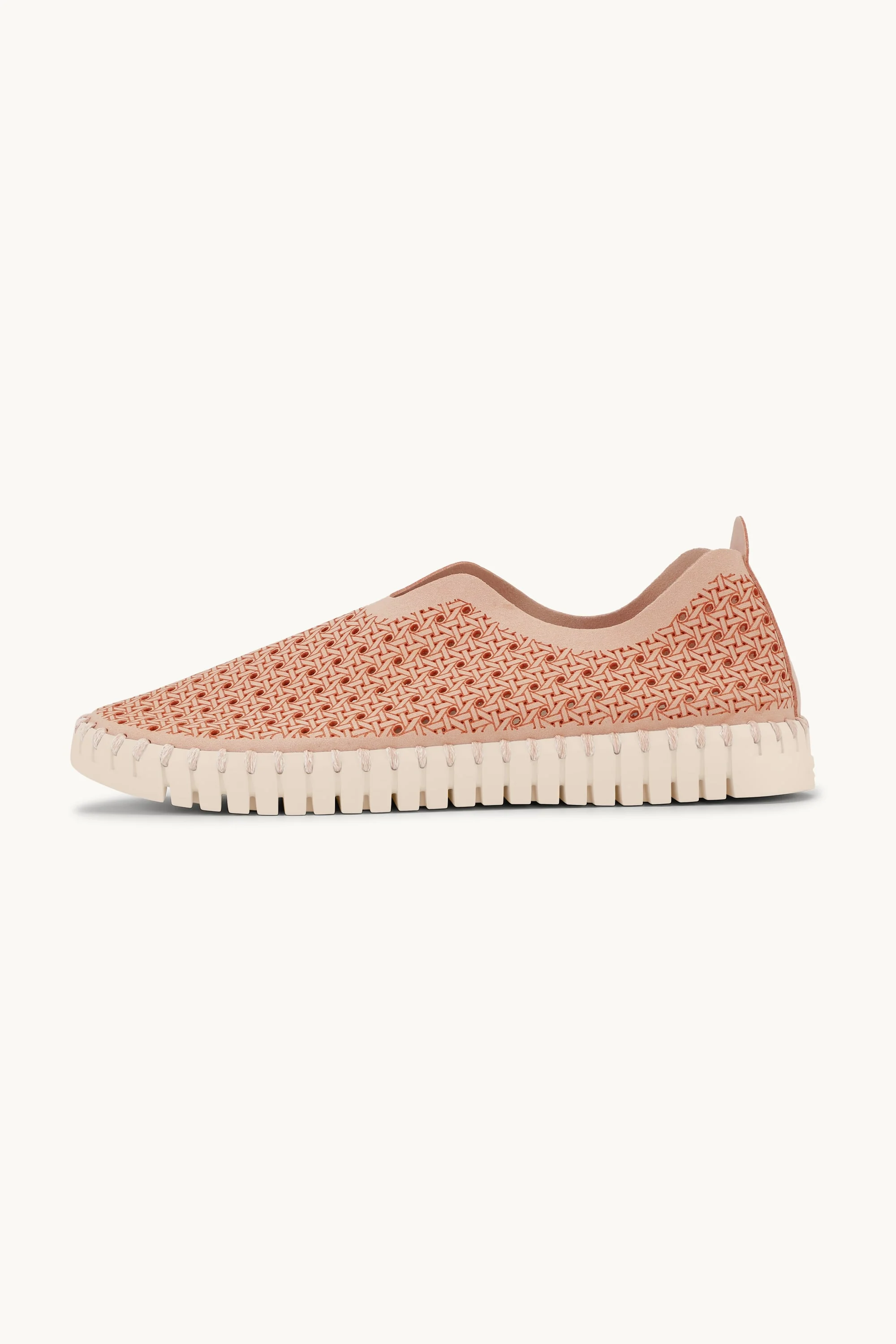 Tulip Flats - Adobe Rose Pearled Ivory - Image 3