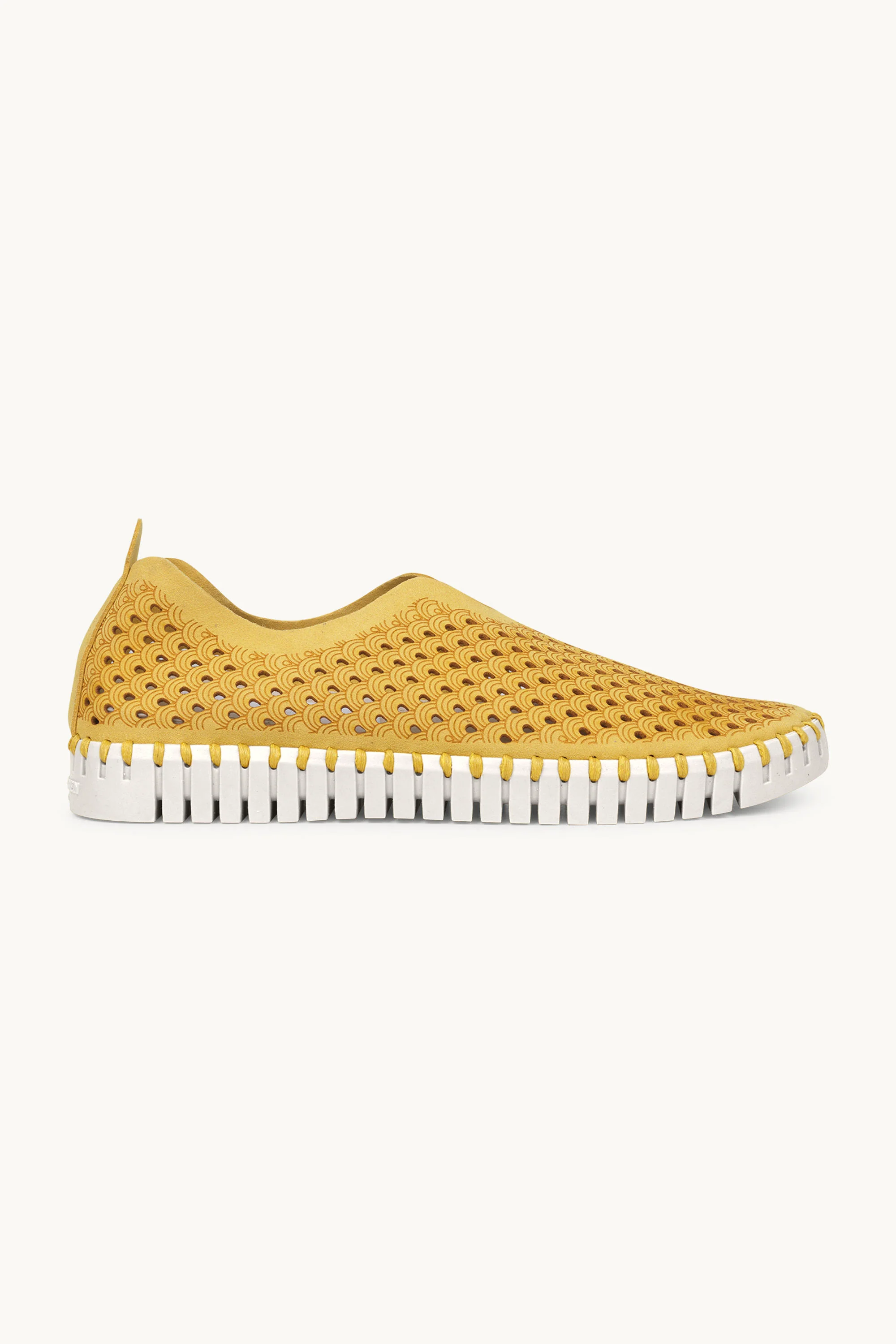 Tulip Flats - Golden Rod - Image 5