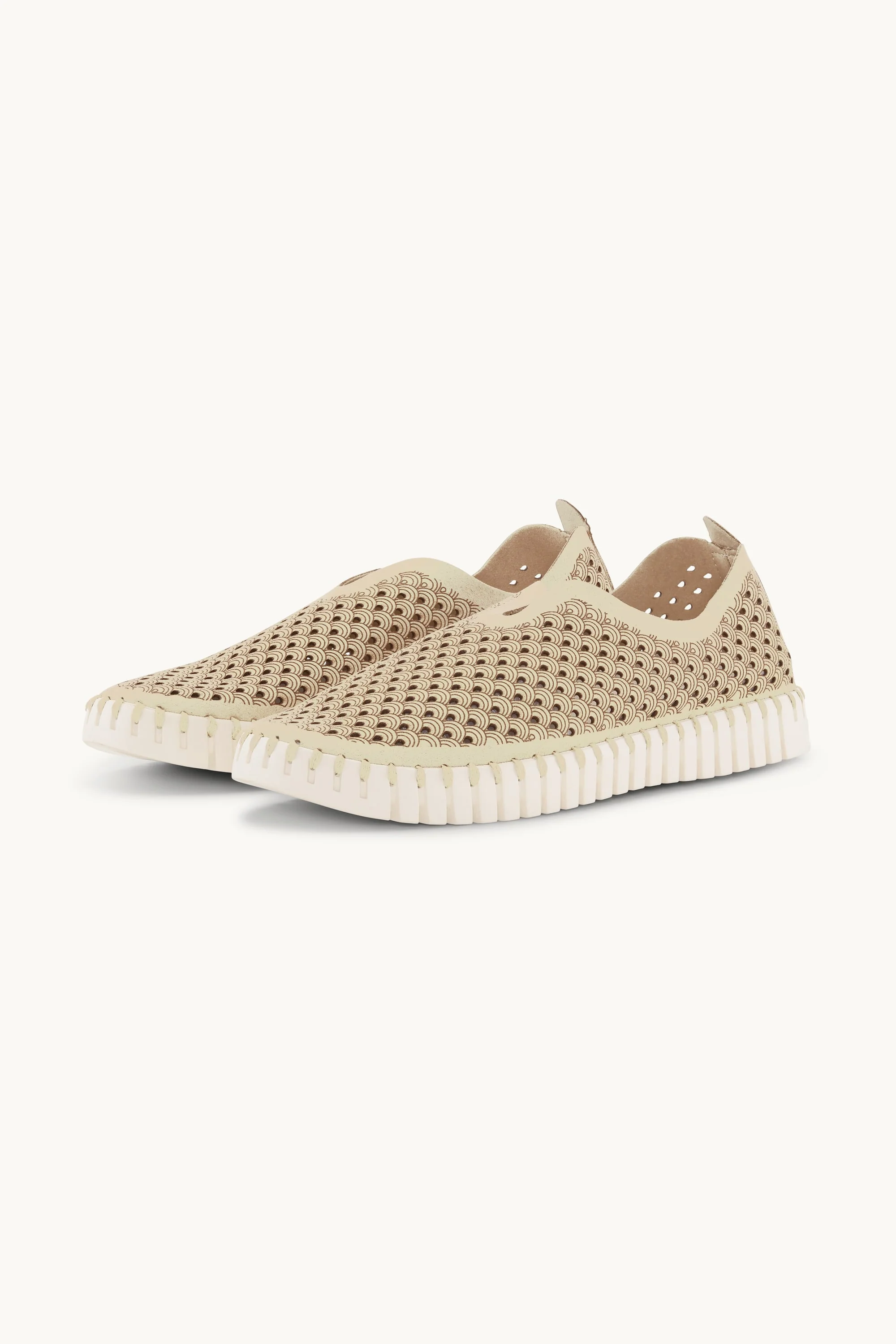 Tulip Flats - Kit - Image 2