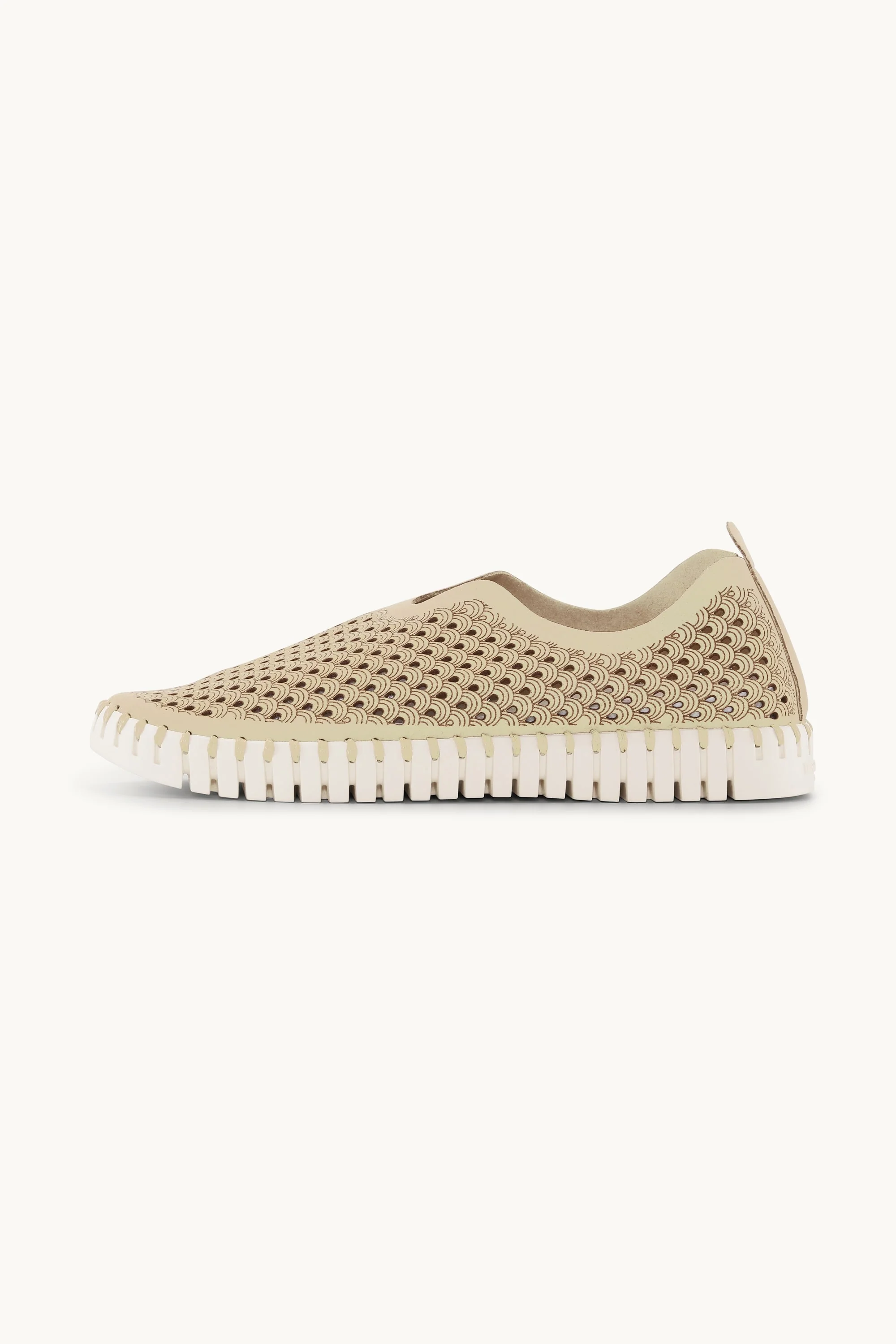Tulip Flats - Kit - Image 5