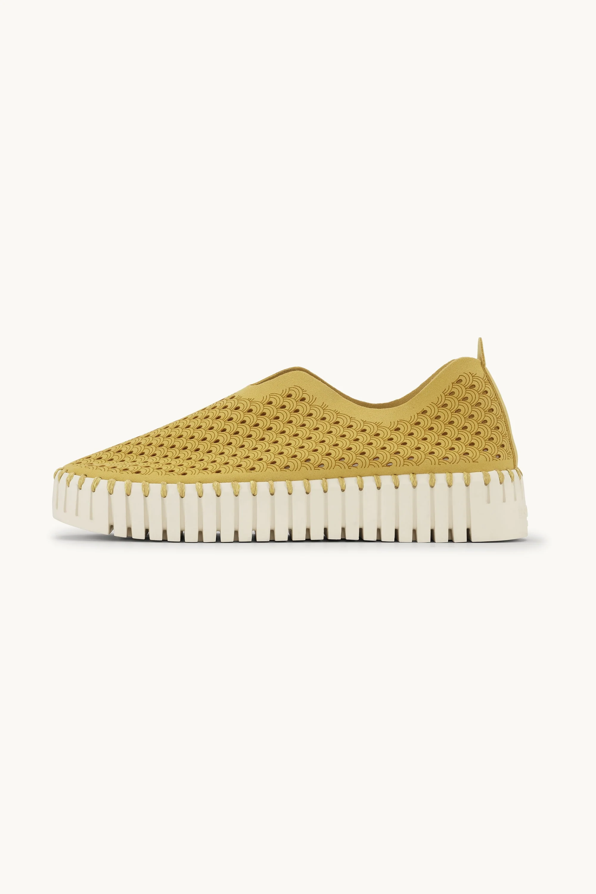 Platform Tulip Flats - Golden Rod - Image 3